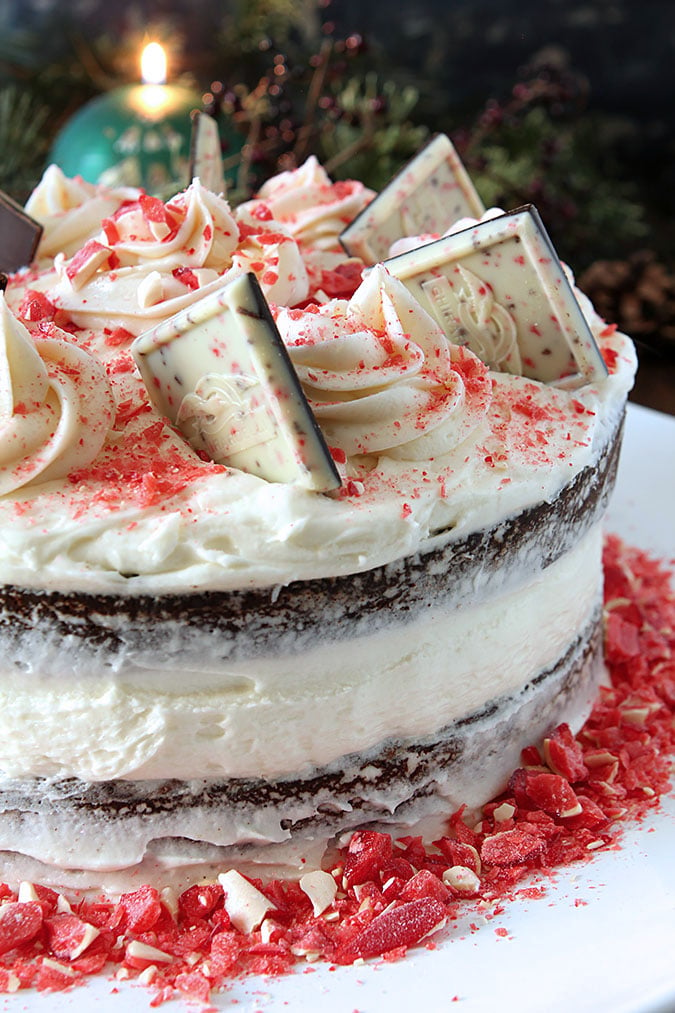 Milk Chocolate Cake with Peppermint Buttercream Frosting