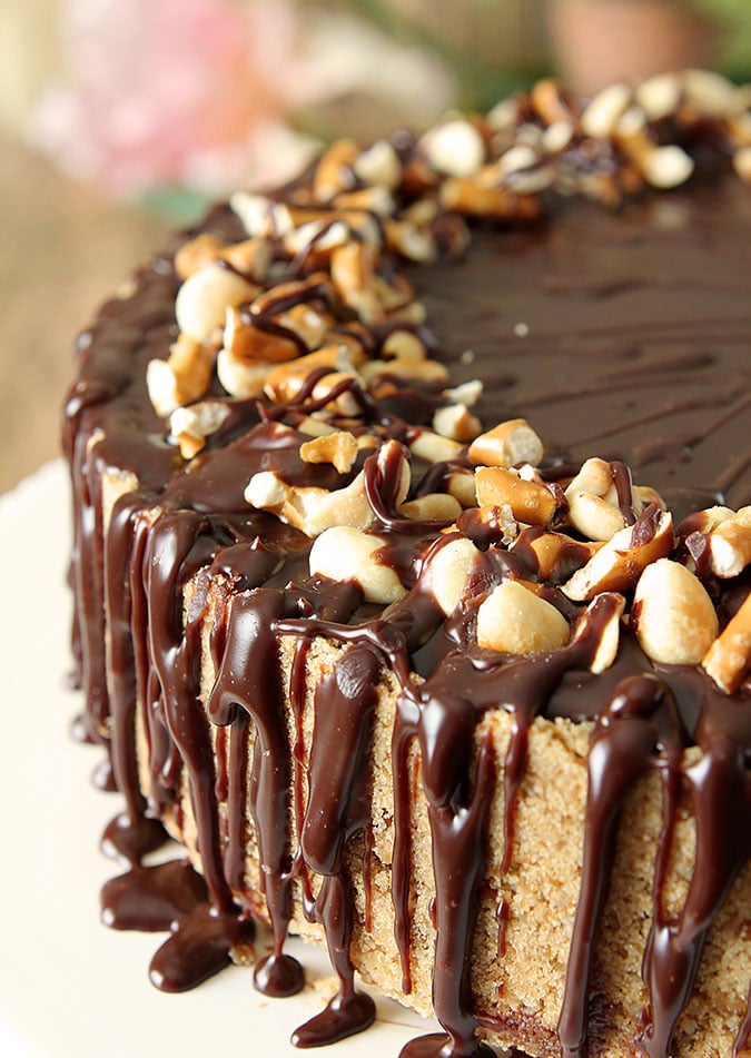 Chocolate and Peanut Butter Cheesecake Whole