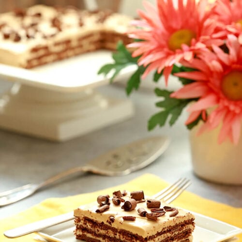 Chocotorta - An Argentinian Chocolate Cake Served with Chocolate Cake and Cake Plate in Background.