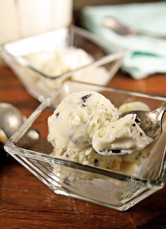 Coconut and Chocolate Chunk Ice Cream Served in a Glass Dish