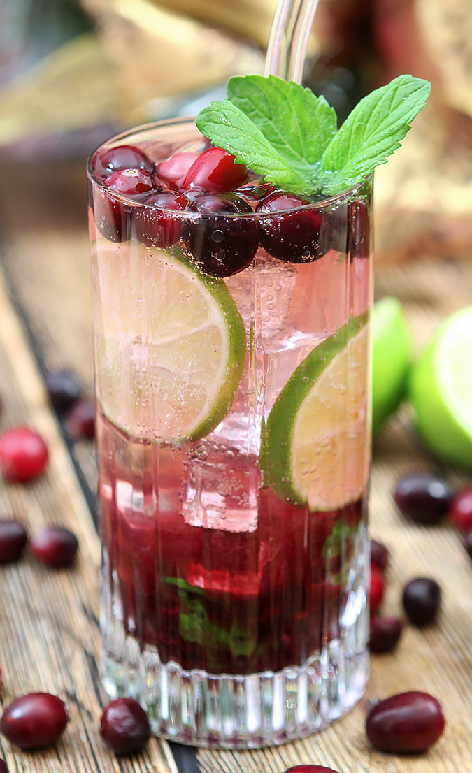 Cranberry Sauce Mojito