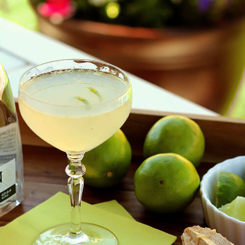 The Gimlet Cocktail Served Outdoors on a Wooden Tray