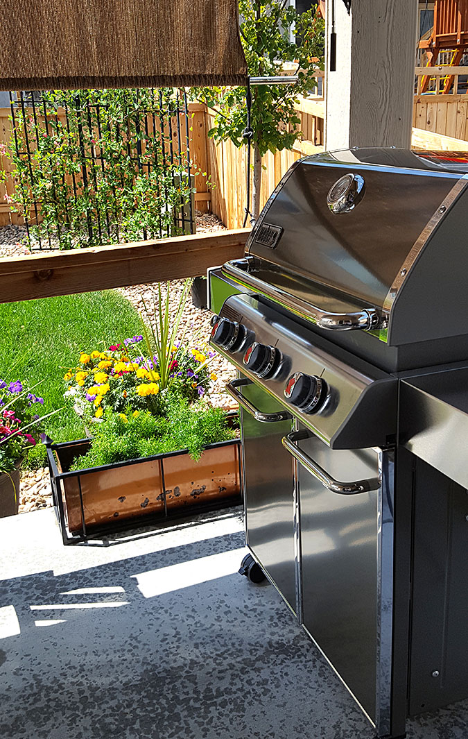 Weber Grill