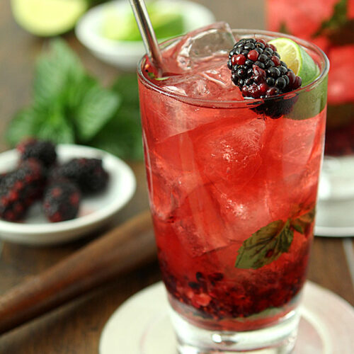 Blackberry Mojito Cocktail