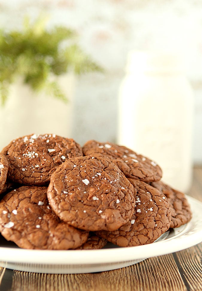 Salted Fudge Cookies